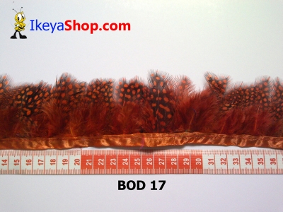 bulu owl polkadot BOD 17   feather  large2